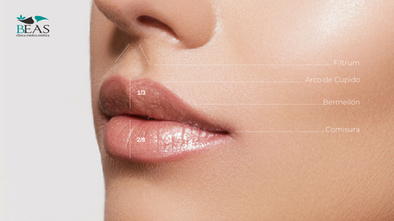 Aumento de Labios Murcia